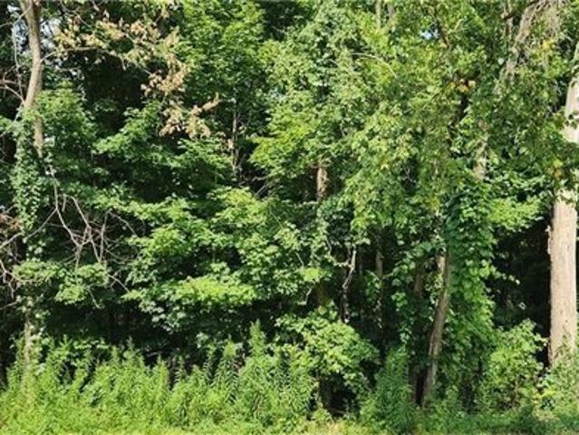 Land for sale in Town of Boston, Erie County