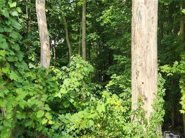 Land for sale in Patchin, Town of Boston