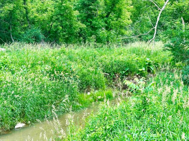 Land for sale in Michigan
