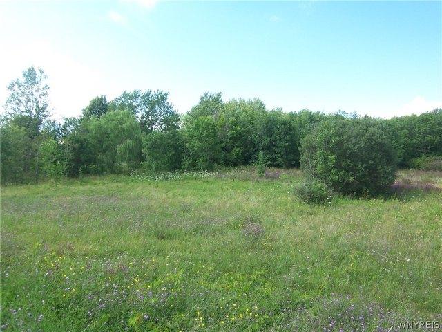 Land for sale in Darien Center, Town of Darien