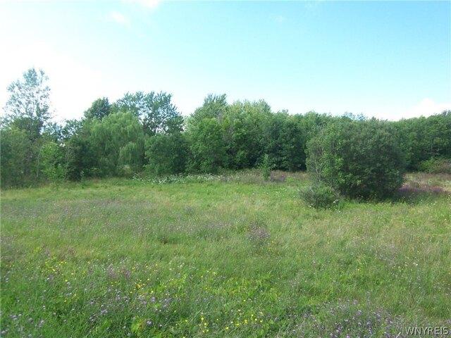 Land for sale in Darien Center, New York