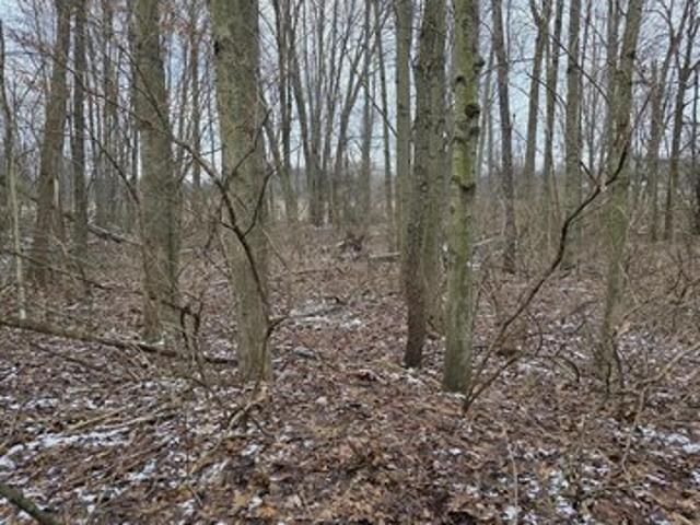 Land for sale in Plainwell, Michigan