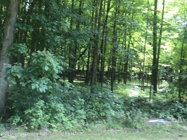 Land for sale in Chesaning, Michigan