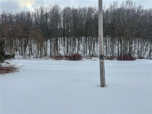 Land for sale in Cohocton, New York