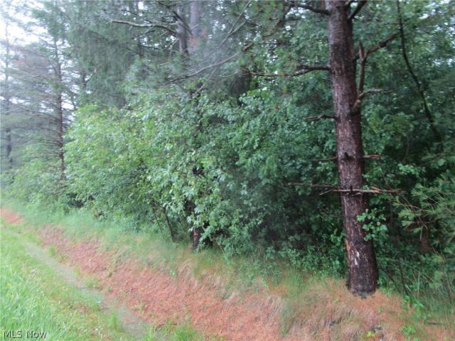 Land for sale in Ohio