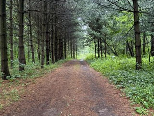 Land for sale in Cassopolis, Michigan