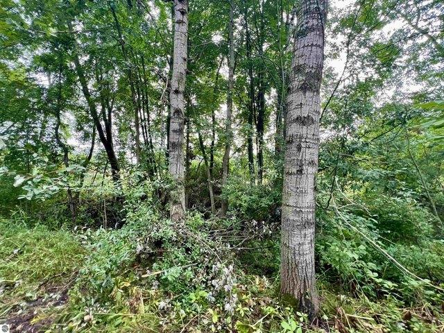 Land for sale in Stanton, Montcalm County