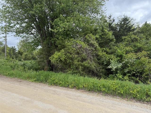 Land for sale in Brooklyn