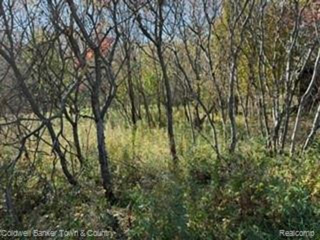 Land for sale in Fowlerville, Livingston County