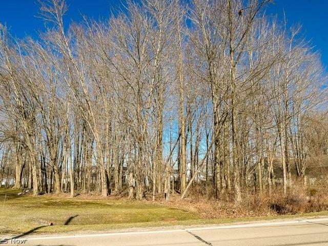 Land for sale in Geneva, Ashtabula County