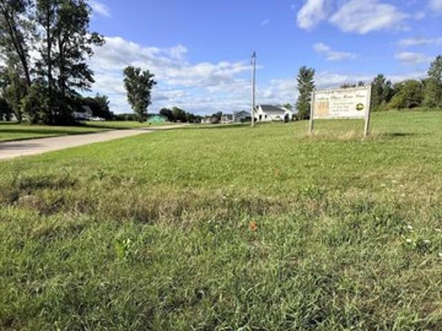 Land for sale in Ionia, Michigan
