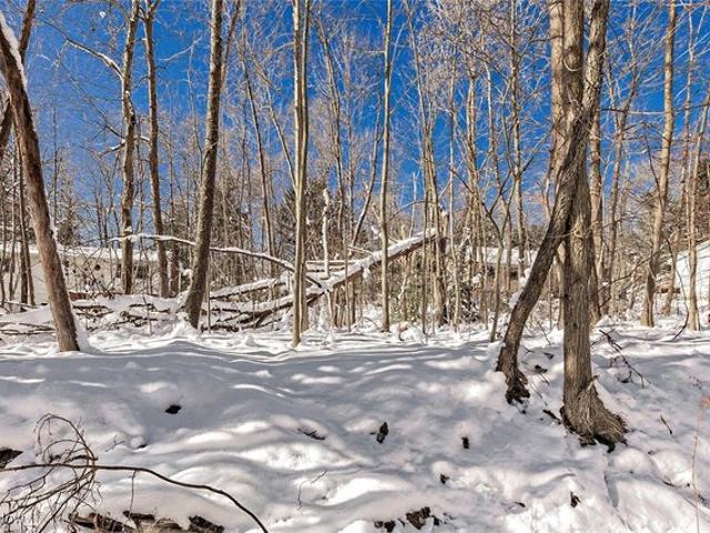 Land for sale in Chagrin Falls, Ohio