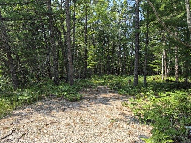 Land for sale in Rogers City, Presque Isle County