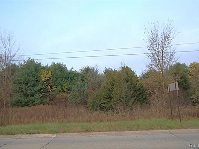 Land for sale in Mount Morris Charter Township, Genesee County