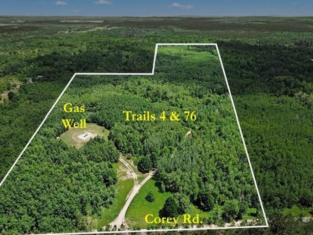 Land for sale in Mancelona, Michigan