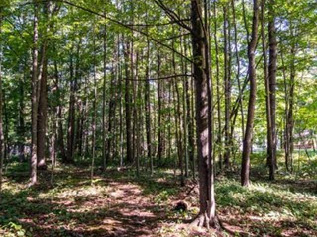 Land for sale in Caseville, Huron County