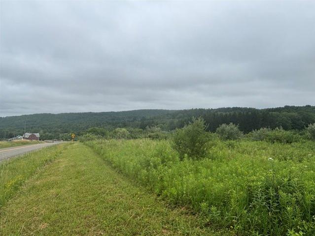 Land for sale in Dansville, New York