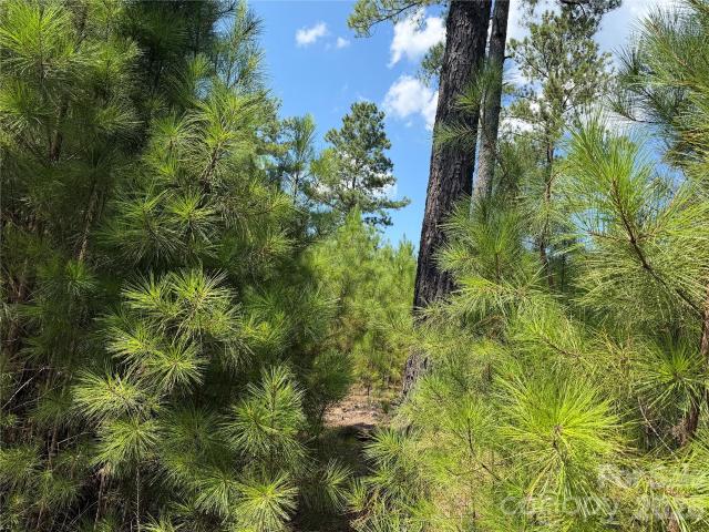 Land for sale in Granite Falls, Caldwell County