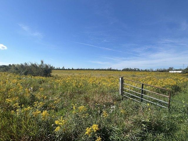 Land for sale in Lincoln, Alcona County