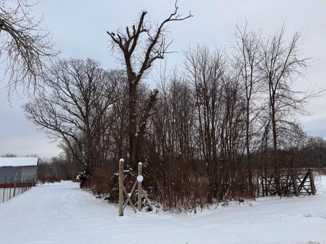 Land for sale in Michigan