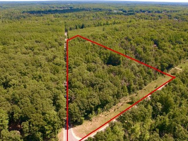 Land for sale in Clare, Michigan