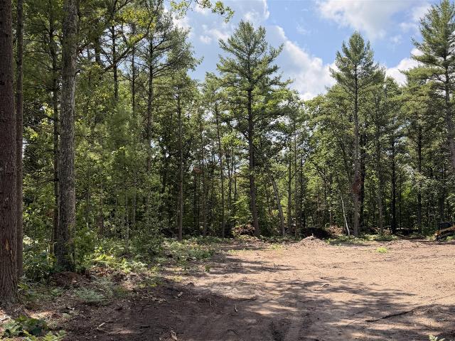Land for sale in Michigan