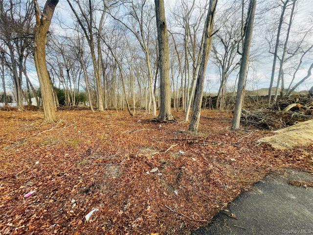 Land for sale in Centereach, New York