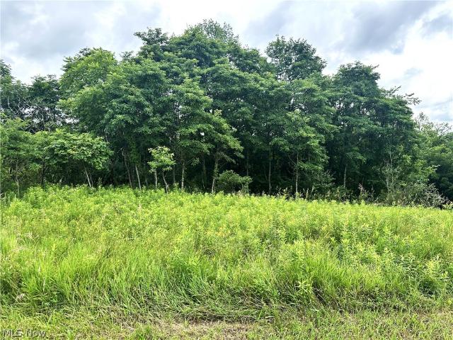 Land for sale in Carrollton, Ohio