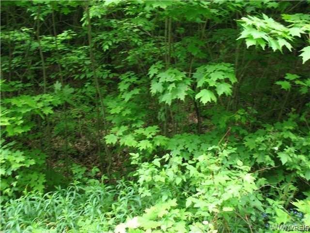 Land for sale in Salamanca, New York