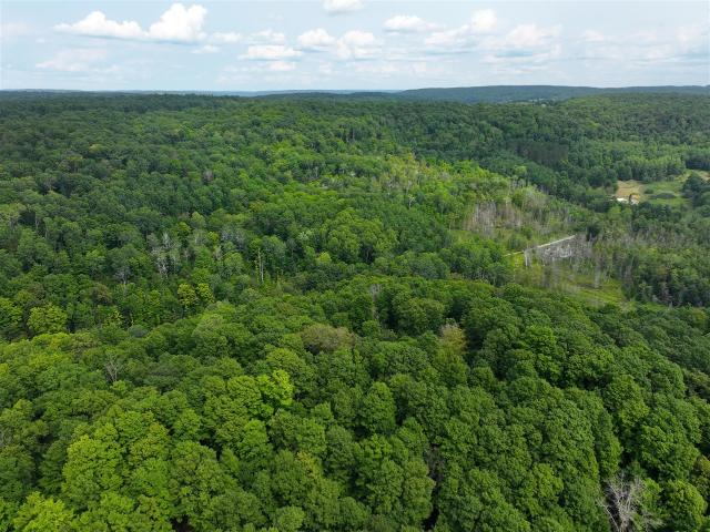Land for sale in East Jordan, Michigan