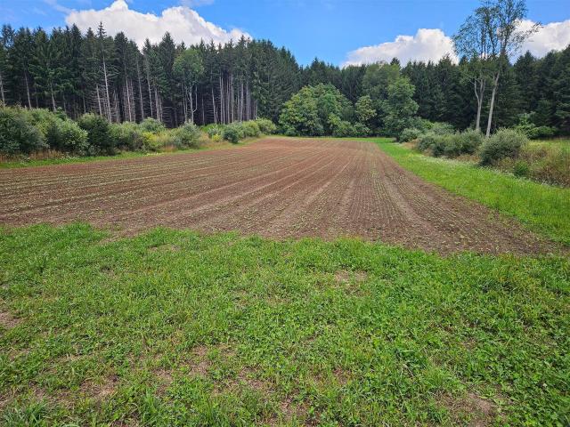 Land for sale in Michigan