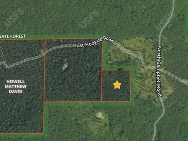Land for sale in Free Soil, Michigan