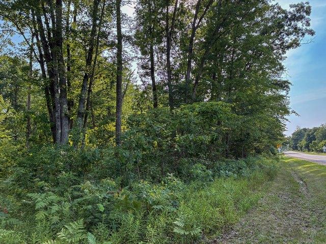 Land for sale in White Cloud, Michigan
