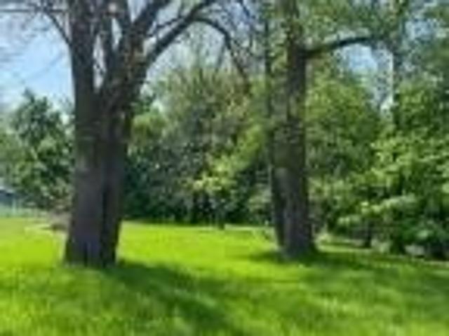 Land for sale in Bloomingdale, Van Buren County