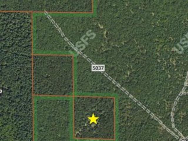 Land for sale in Free Soil, Michigan