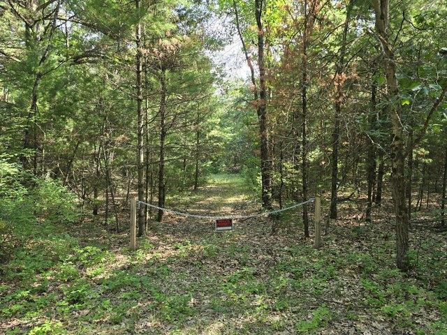Land for sale in White Cloud, Michigan