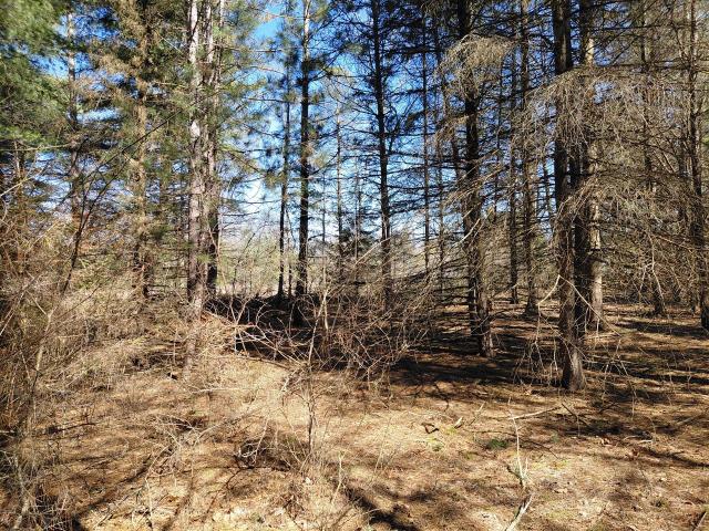 Land for sale in White Cloud, Michigan