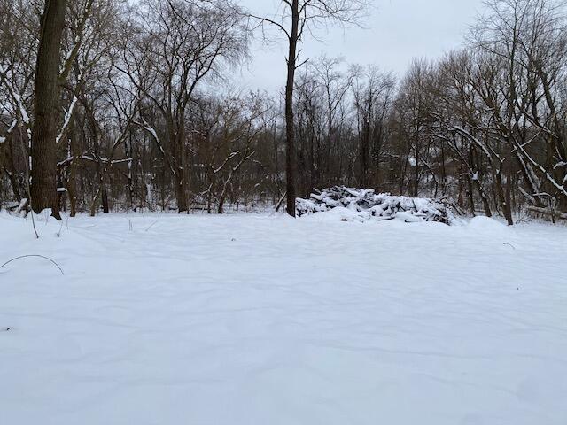 Land for sale in Scotts, Michigan