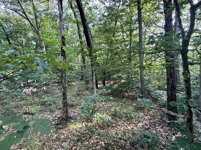 Land for sale in White Cloud, Michigan