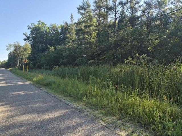 Land for sale in Grayling, Crawford County