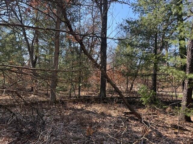 Land for sale in Baldwin, Michigan