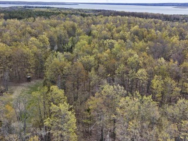 Land for sale in Hillman, Michigan