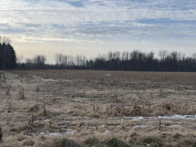 Land for sale in Tuscola, Michigan