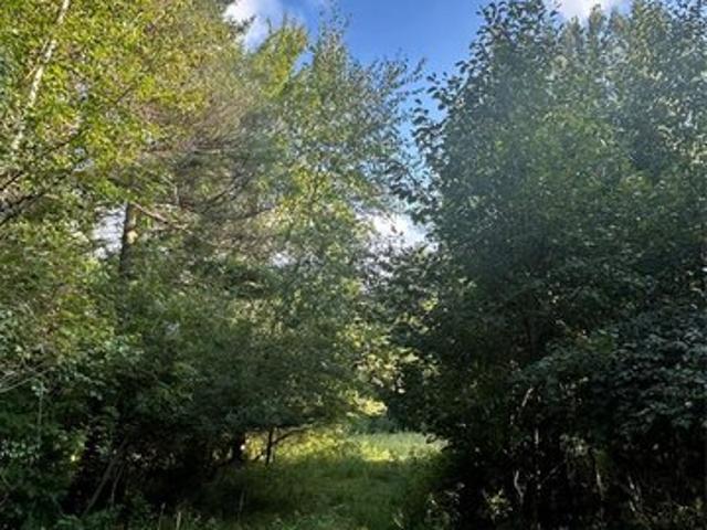 Land for sale in Wells, Michigan