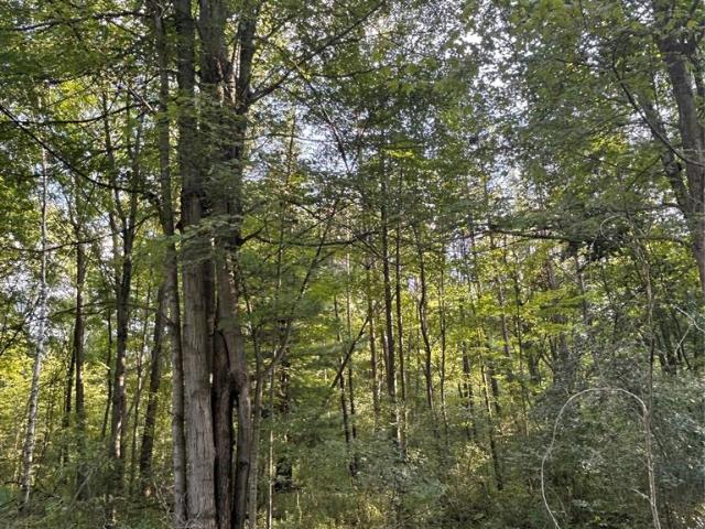 Land for sale in Tuscola, Michigan