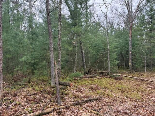Land for sale in Michigan