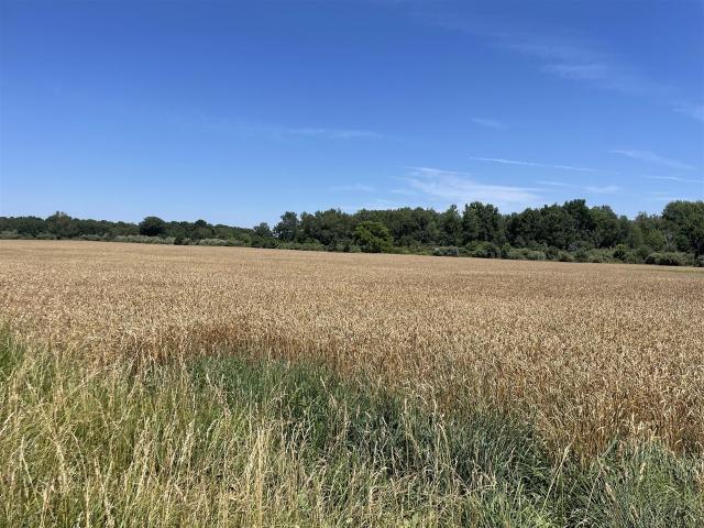 Land for sale in Michigan