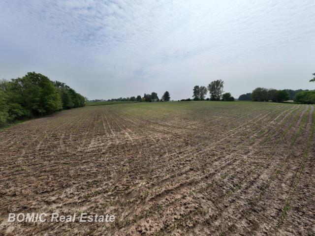 Land for sale in Tuscola, Michigan