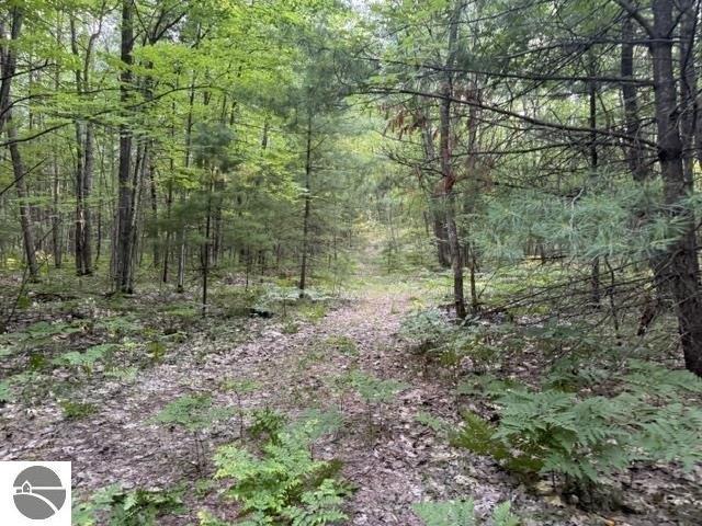 Land for sale in Lake City, Michigan