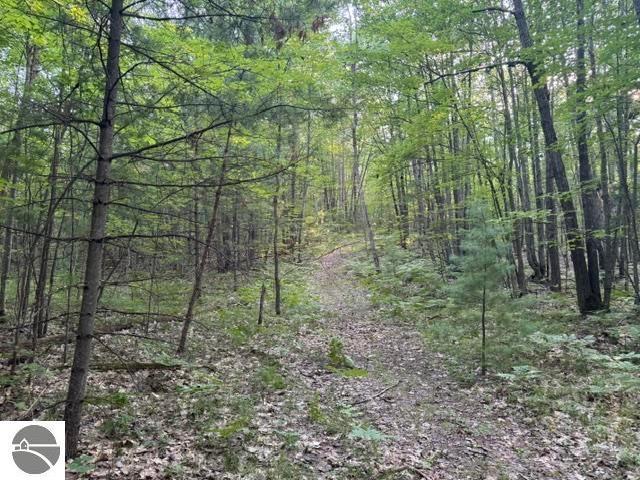 Land for sale in Michigan